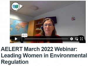 Screenshot Monica IWD webinar 2022